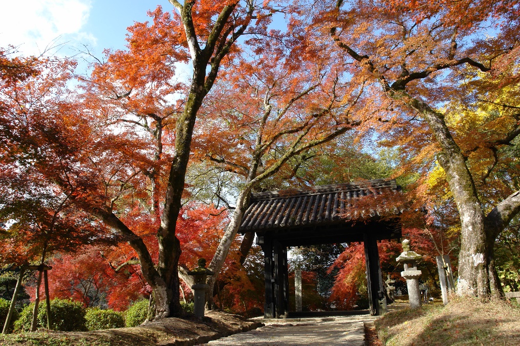 Akizuki Castle